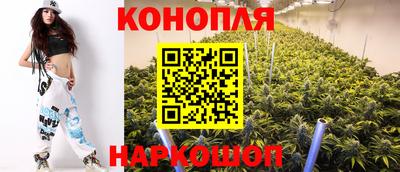 сатива Баксан