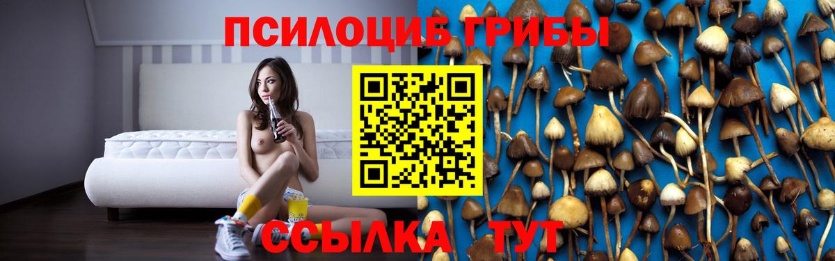 Гуково  Галлюциногенные грибы Cubensis  Вход с VPN  Псилоцибиновые грибы Cubensis 