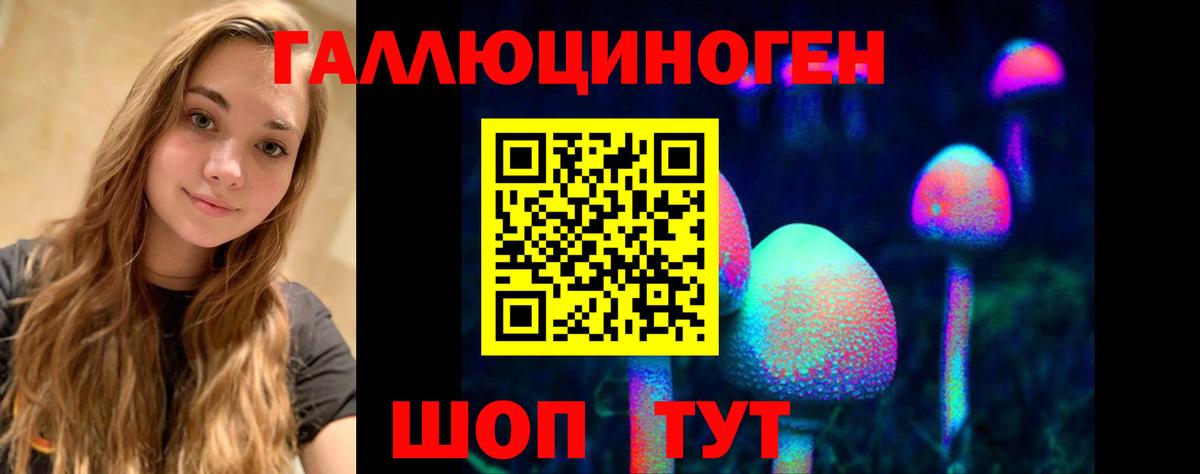 Псилоцибиновые грибы Psilocybine cubensis Гуково